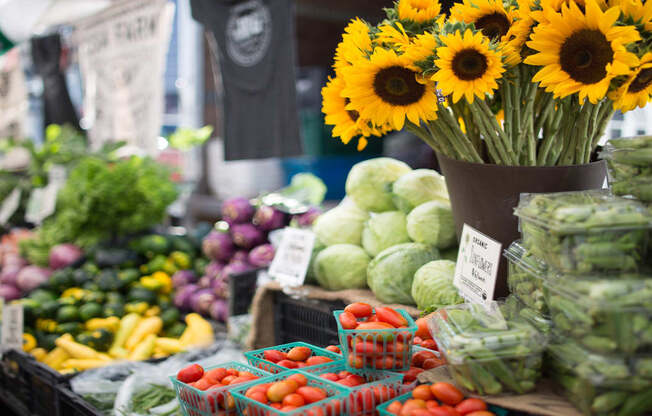 Enjoy the Downtown Farmer's Market, every Saturday, at THE MONARCH BY WINDSOR, 801 West Fifth Street, Austin