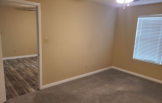 1 bed, 1 bath, $1,250, Unit 1 bedroom, 1 bath (1st Floor)