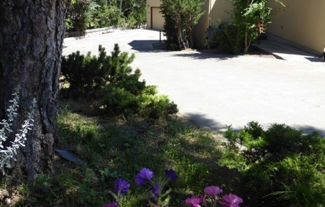 1133 NE Hidden Valley Drive # A-D