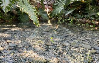 Partner-provided photo for $2245 unit