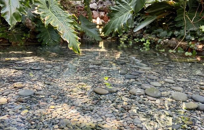 1 bed, 1 bath, 800 sqft, $2,245, Unit #48