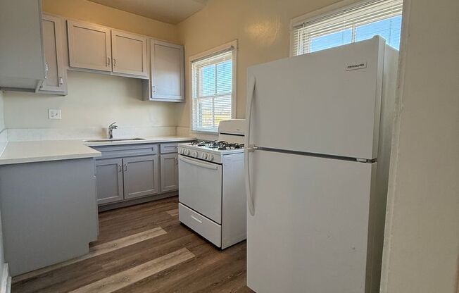 Studio, 1 bath, 550 sqft, $1,325, Unit 303