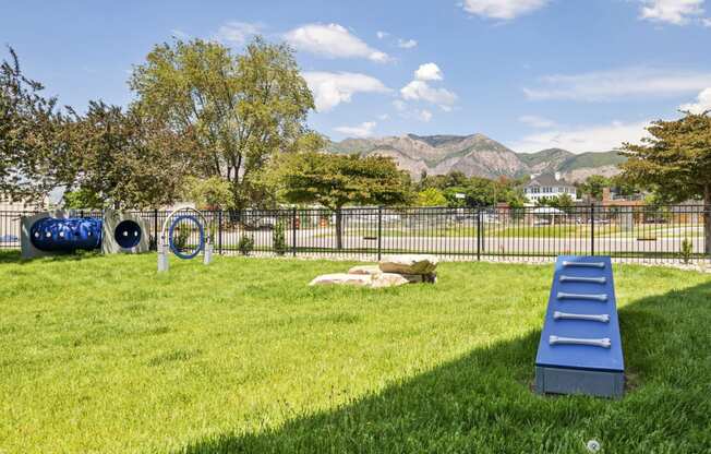 a grassy area with a blue trampoline in the middle of it