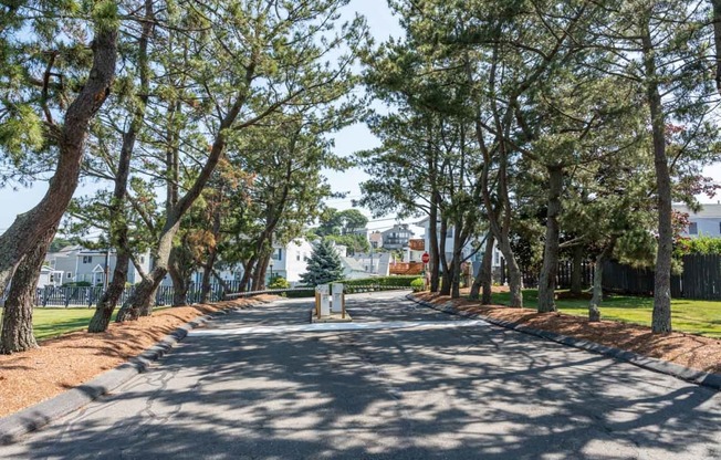 a tree lined street with houses in the background