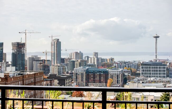 Zephyr Apartments: Elevated Living in the Heart of Capitol Hill