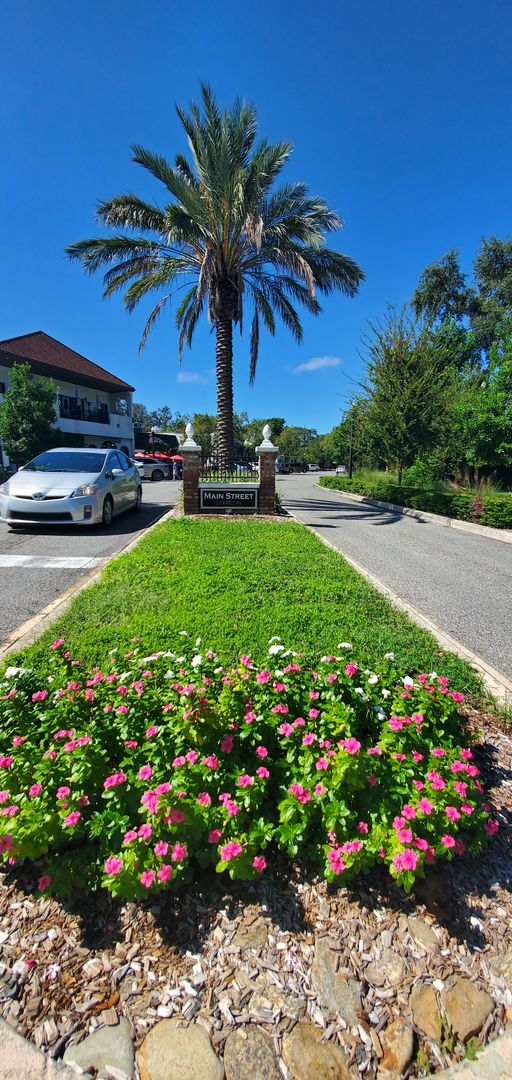 YOUR HAPPY PLACE IN DUNEDIN