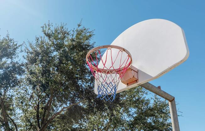 A basketball hoop with a white backboard and a red, white, and blue net, set against a clear blue sky. Green trees are visible in the background, creating a bright and inviting outdoor scene for playing basketball.