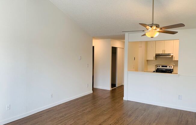 1 bed, 1 bath, 700 sqft, $1,800, Unit 307