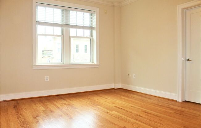 1 bed, 1 bath, 525 sqft, $2,525, Unit 202