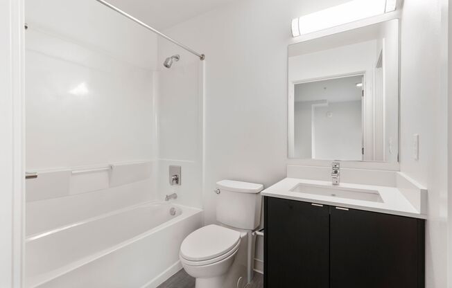 Studio, 1 bath, 387 sqft, $1,350, Unit 302