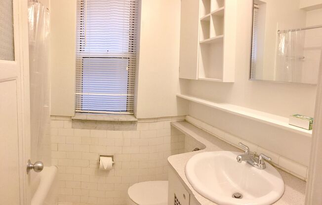 Studio, 1 bath, 233 sqft, $1,100, Unit 412