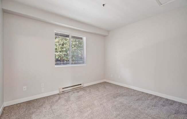 A room with a window and carpeted floor.
