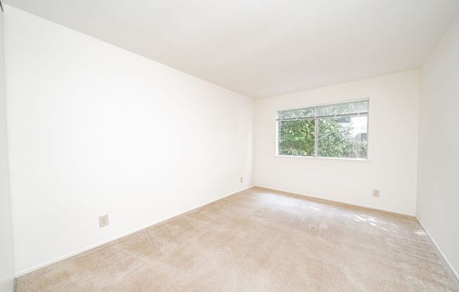 1 bed, 1 bath, $1,695