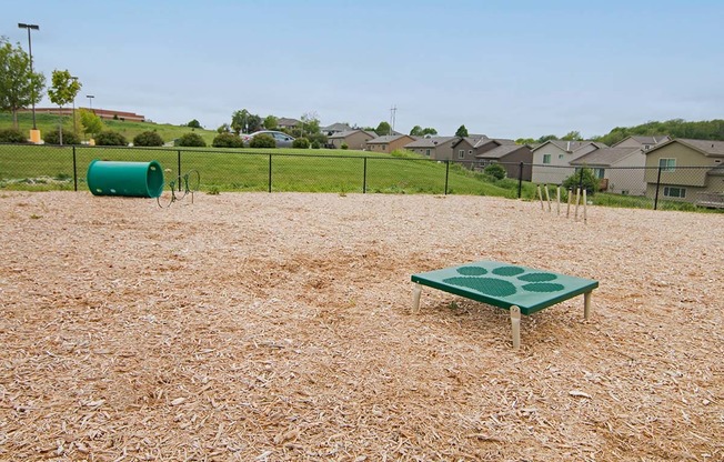 a dog run with an agility course