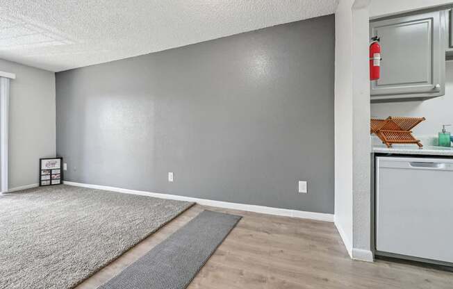A room with grey walls and a white floor with a grey rug.