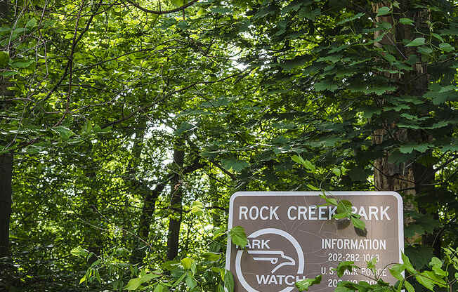 Nearby Rock Creek Park in Glover Park