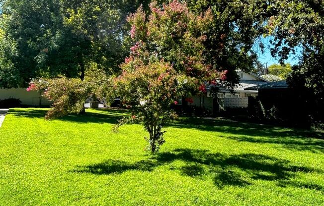 1 bed, 1 bath, 690 sqft, $1,400, Unit 23