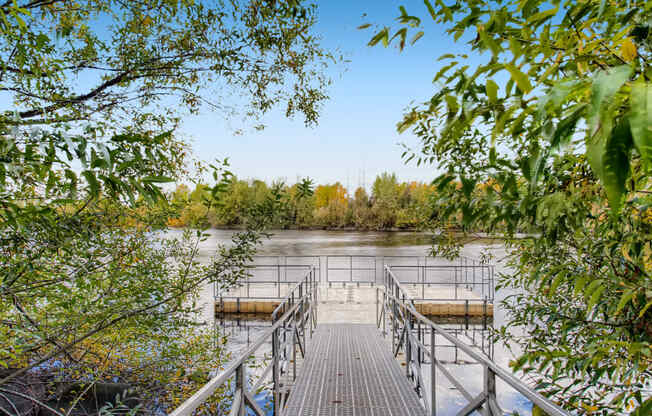 Apartments in Fairview for Rent - Serene Dock on the Lake Surrounded by Lush Trees.