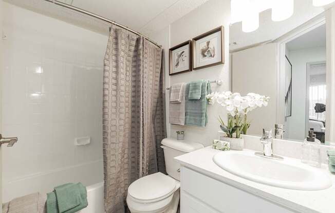 A white bathroom with a toilet, sink, and shower.