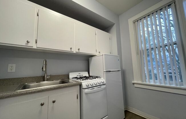 Studio, 1 bath, 300 sqft, $1,230, Unit 308
