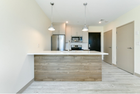 1 bed, 1 bath, 630 sqft, $3,100, Unit Unit 201