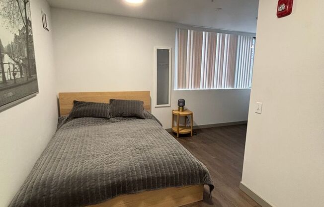 Studio, 1 bath, 167 sqft, $1,059, Unit D101
