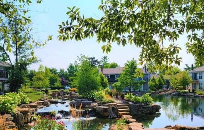 a pond with rocks and trees in the background