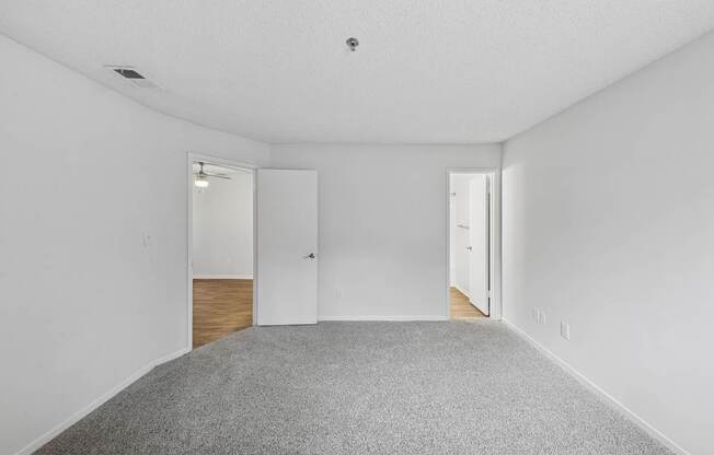 A room with a grey carpet and two white doors.