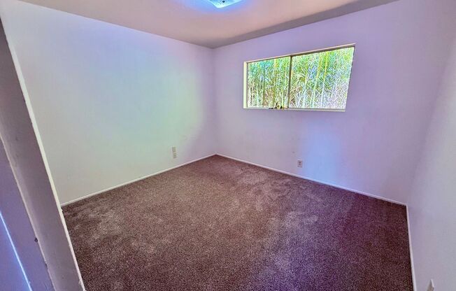 84 Nelson Ave