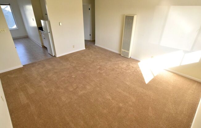 2132 Roosevelt