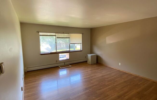 1 bed, 1 bath, $895