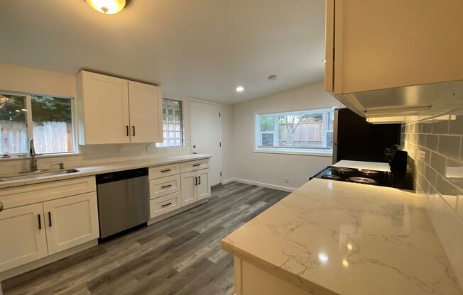 Renovated single family home in Seattle! Beautiful fireplace and fixtures!