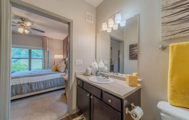 a bathroom with a sink and a mirror and a bed