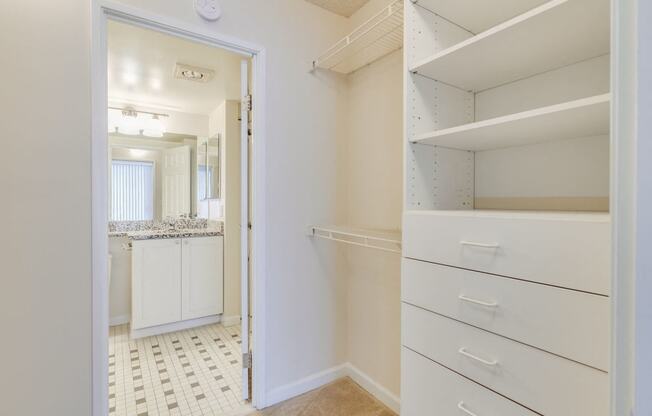 Walk-in closet with shelving and drawers  at Lenox Park, Silver Spring, 20910