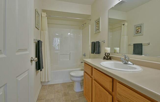 Bathroom at Towne Lakes Apartments, Grand Chute