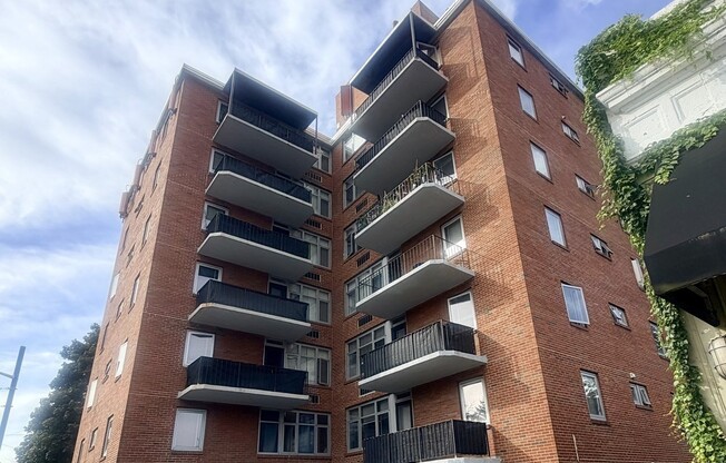 1 bed, 1 bath, 527 sqft, $2,000, Unit 10
