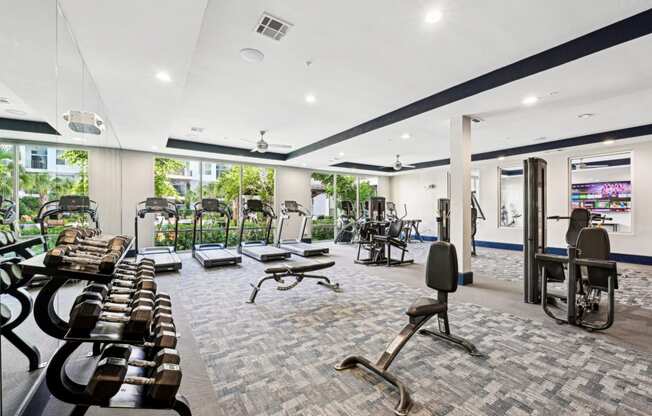 Spacious fitness studio featuring free weights and cardio machines at Harlow River Oaks apartments in Houston, TX