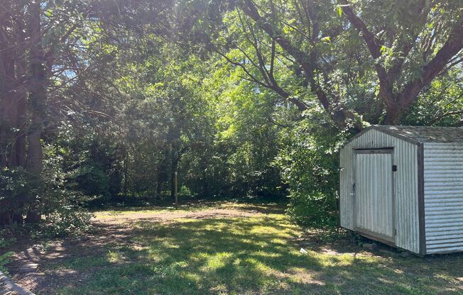 Beautiful Ranch Home In Raleigh, Available Now!