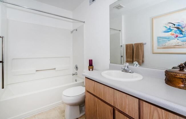 Sagecliff  bathroom with a sink toilet and bathtub