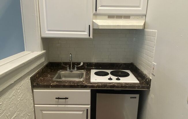 Studio, 1 bath, 314 sqft, $1,450, Unit 4