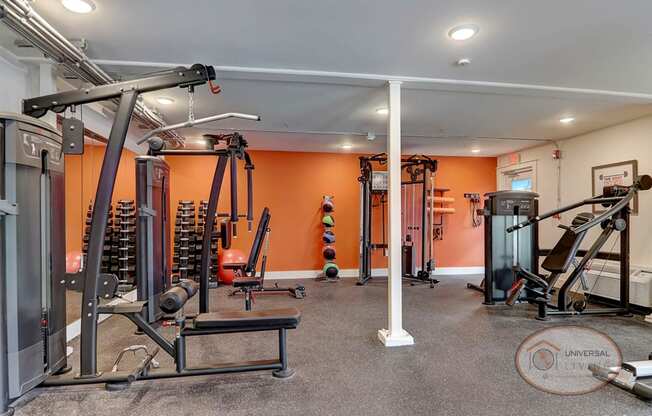 A fitness center with a wall of mirror and an orange accent wall, featuring weight training equipment and cardio equipment.