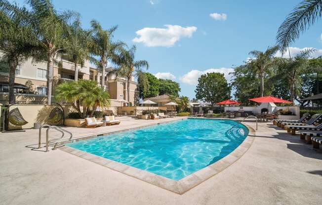 the swimming pool at the resort at longboat key club