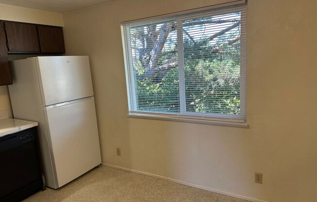 1 bed, 1 bath, $1,250, Unit #4