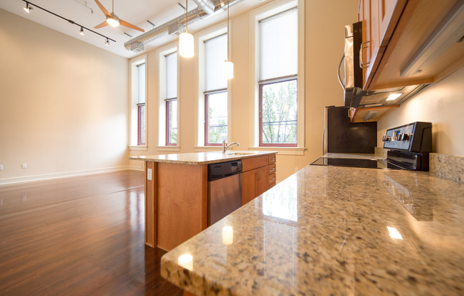 5th Avenue School Lofts