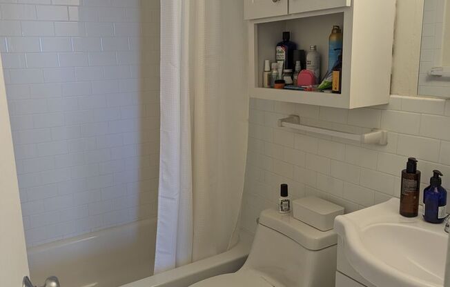 1 bed, 1 bath, 606 sqft, $3,300, Unit 1501