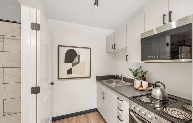 Studio, 1 bath, $625