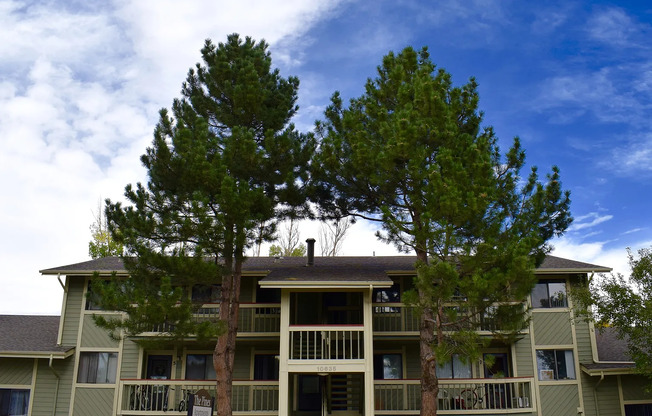 THE PINES Apartments