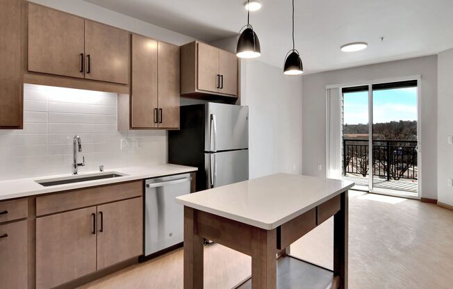 Studio, 1 bath, 528 sqft, $1,650, Unit 313