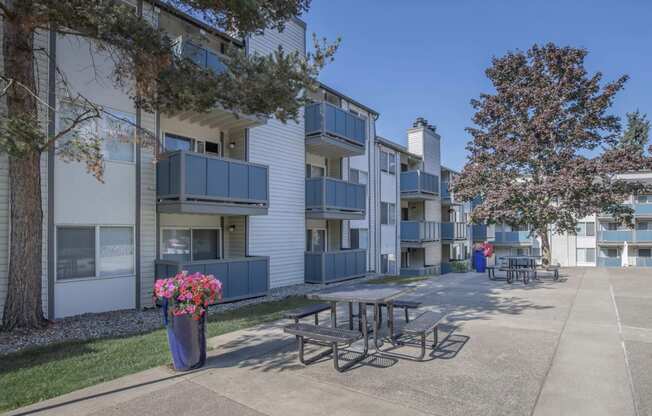 outdoor picnic lounge at Foster Creek apartments with potted flowers and trees