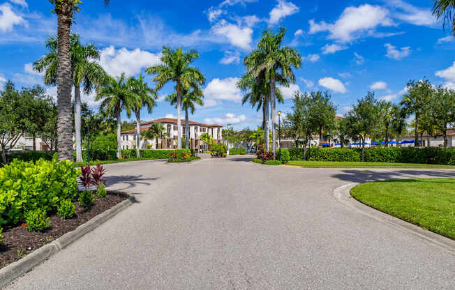A road with palm trees and a building in the background.